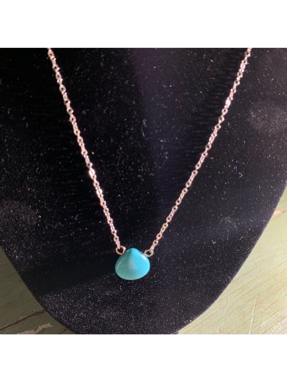 NWT TURQUOISE BRIOLETTE NECKLACE SILVERTONE CHAIN